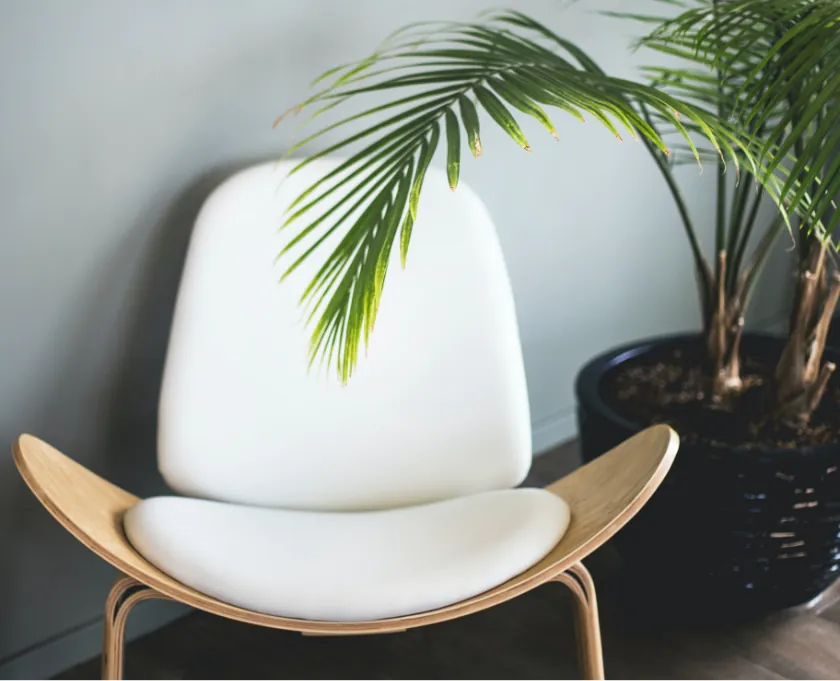 Eco-Friendly Health: A Guide to Sustainable and Cruelty-Free Wellness Products - sixways healthcare Uganda